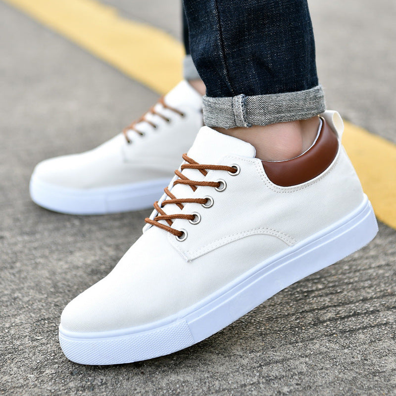 ๐ Man Sneakers Shoes - New Canvas - Daily Cozy Closet